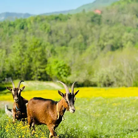 Holiday home A Casa Di Mirna Borghetto Di Borbera