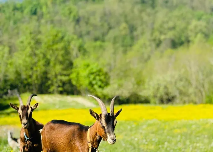 Сasa de vacaciones A Casa Di Mirna Borghetto Di Borbera